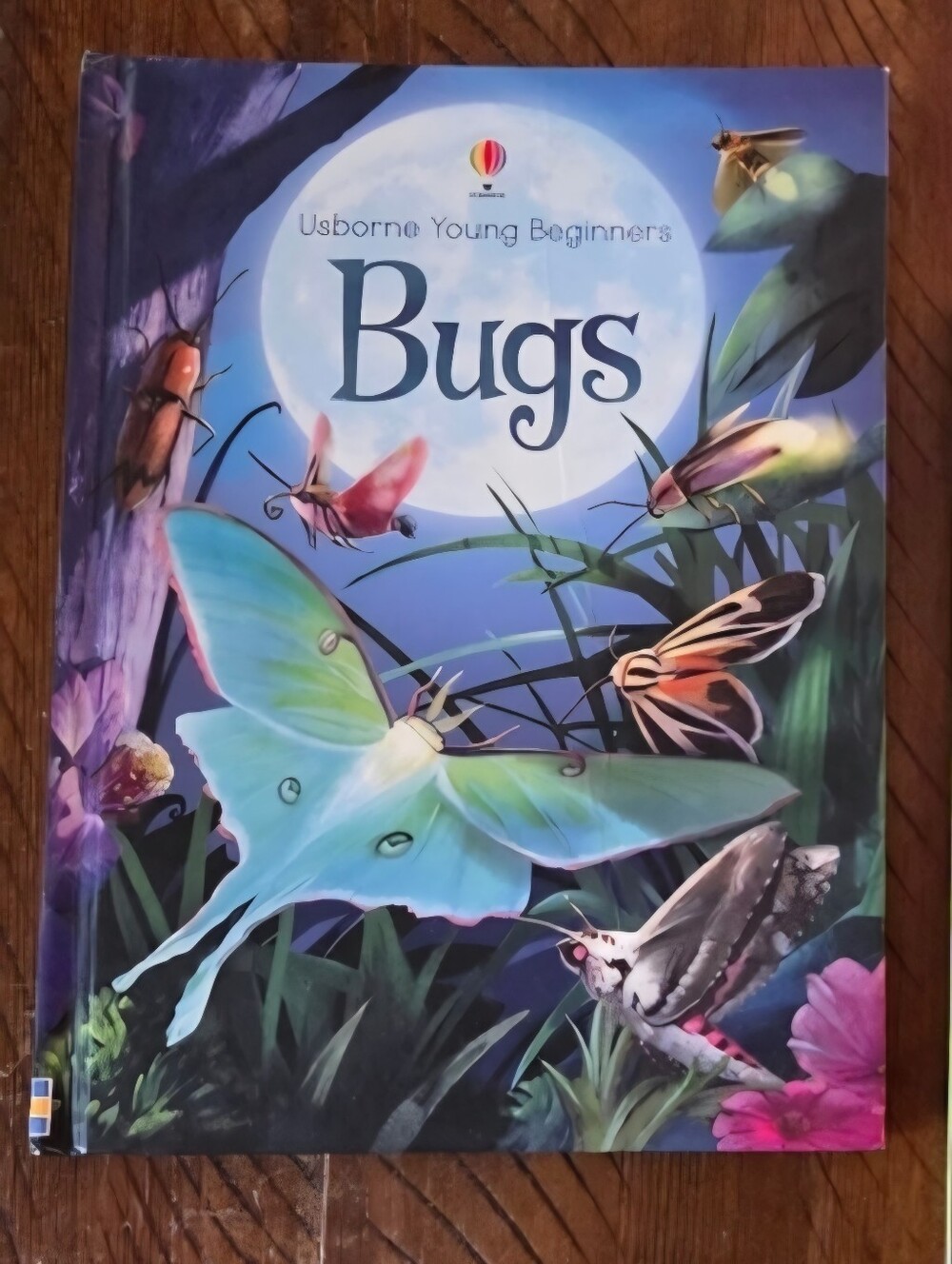 🎉5/$10 Usborne 'Bugs' Book